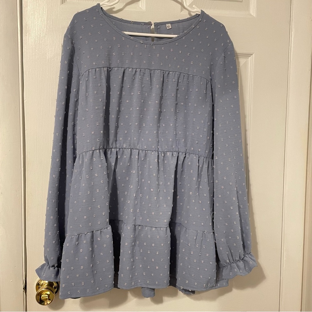 Baby blue chiffon puff sleeve Swiss dot long sleeve top